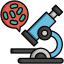 Diagnostic & Pathology